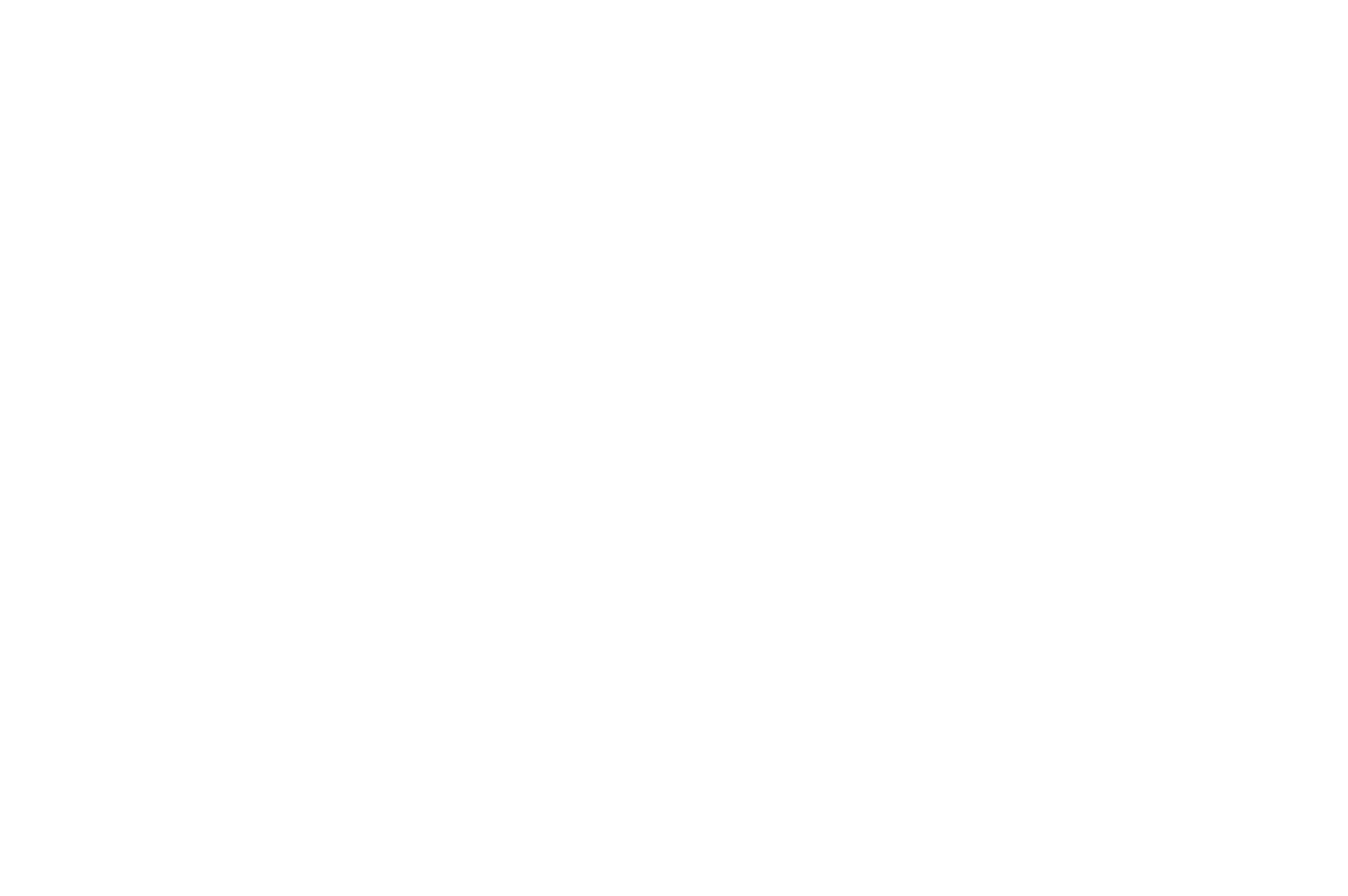 Logo RMJ JALLAIS